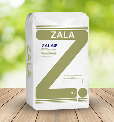 zala block heel pointy toe pump